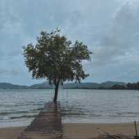 รีวิวภูเก็ต The Mangrove by Blu Monkey