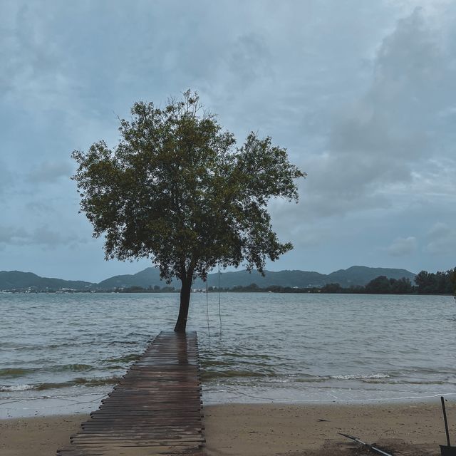 รีวิวภูเก็ต The Mangrove by Blu Monkey  รีวิวภูเก็ต The Mangrove by Blu Monkey