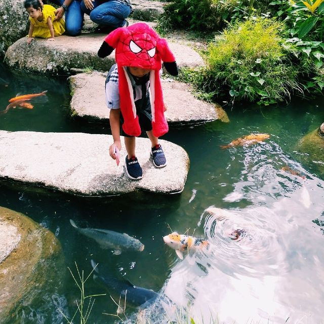 JAPANESE VILLAGE at BUKIT TINGGI. 