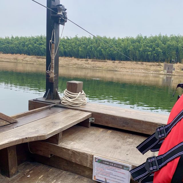 울산 여행지, 태화강 나룻배🚤