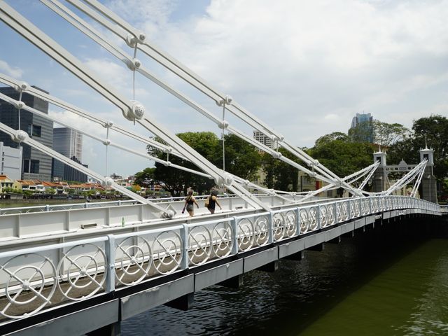 Cavenagh Bridg