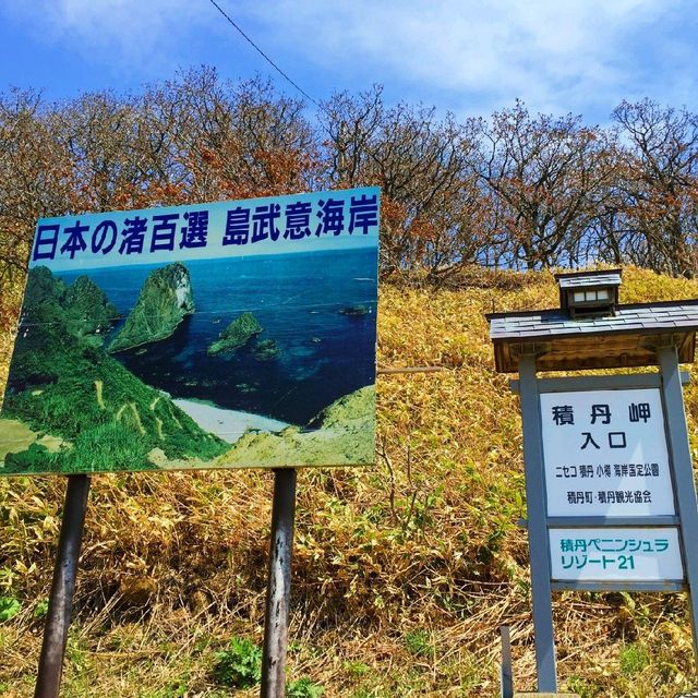 【北海道 積丹】カムイのシャコタンブギブルー