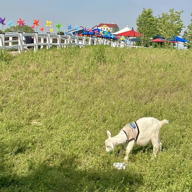 💚안성팜랜드의 9월은..?💚