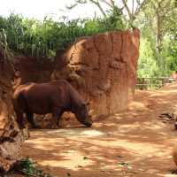 【ハワイ】ホノルル動物園！子供とハワイ行くならここ！