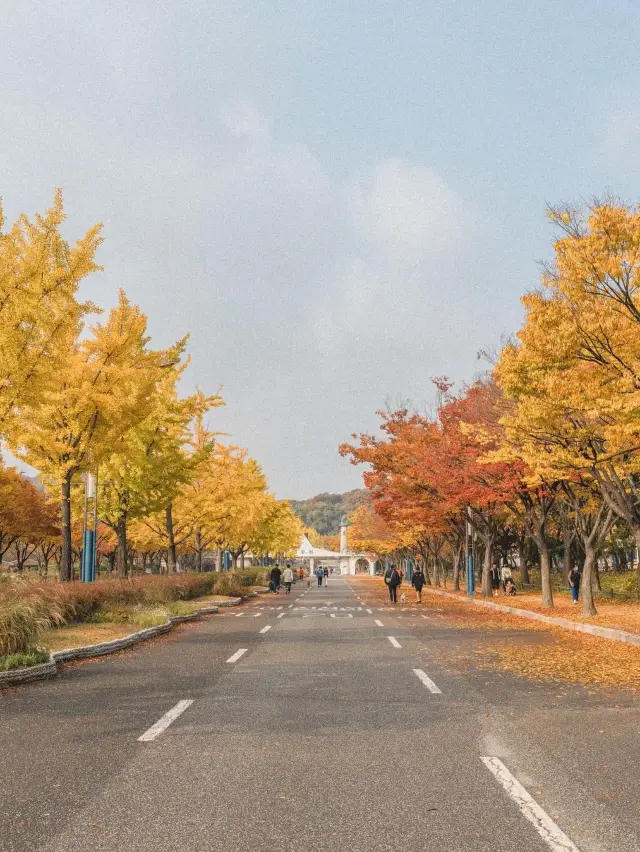 인천에서 가을하면 이곳! ’인천대공원‘