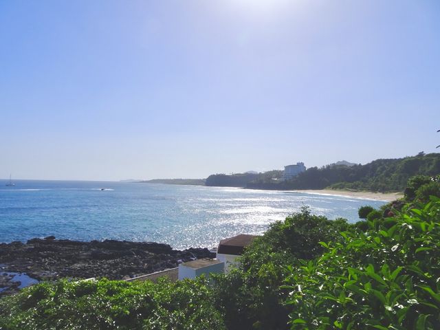 Jeju Beach in Summer