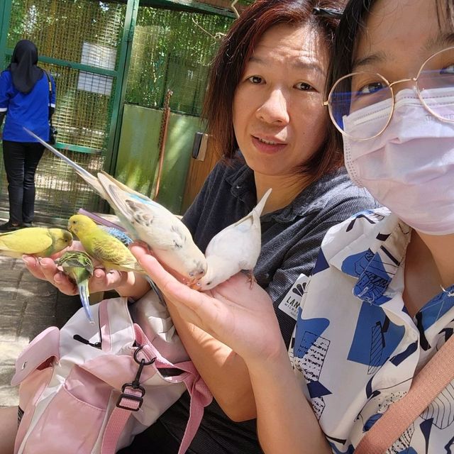 蘭卡威（浮罗交怡）野生动物园！亲近野生动物的好机会！！