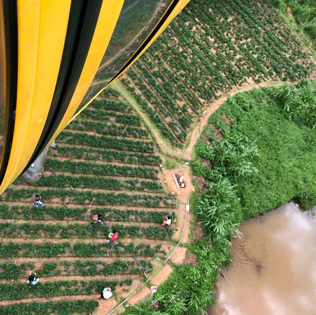 Dalat Cable Car Station 