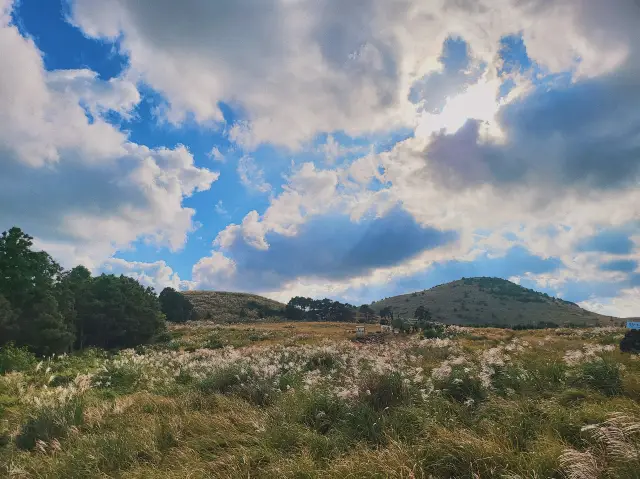 제주 레일바이크 🍁가을을 만끽해요