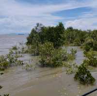 Southern land of Asia-Tanjung Piai 