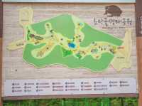 군포 꽃구경하기 좋은 '초막골생태공원'