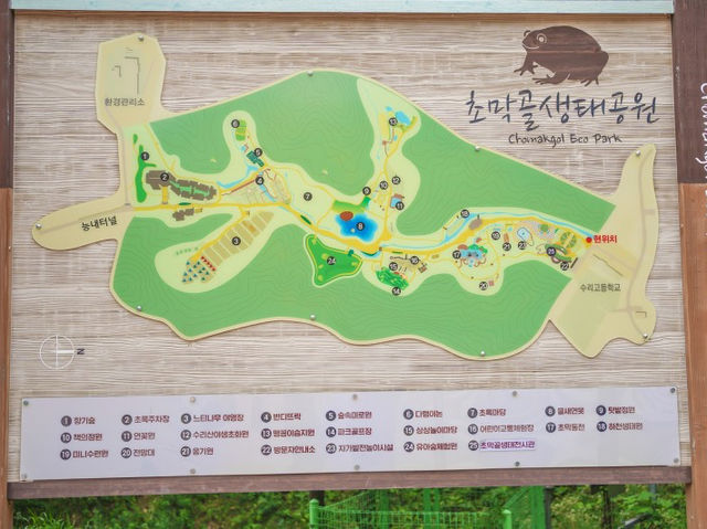 군포 꽃구경하기 좋은 '초막골생태공원'