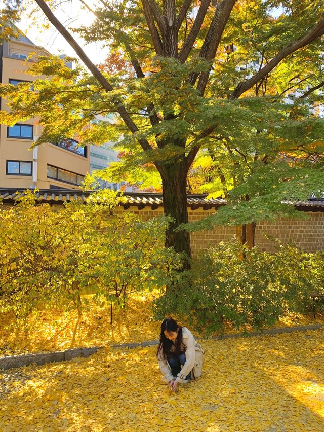 단풍을 서울에서도 구경할 수 있다고?!