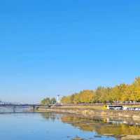 Gingko Tree Park