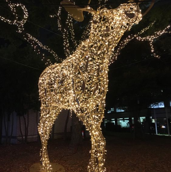 【天神中央公園】クリスマスイルミネーション