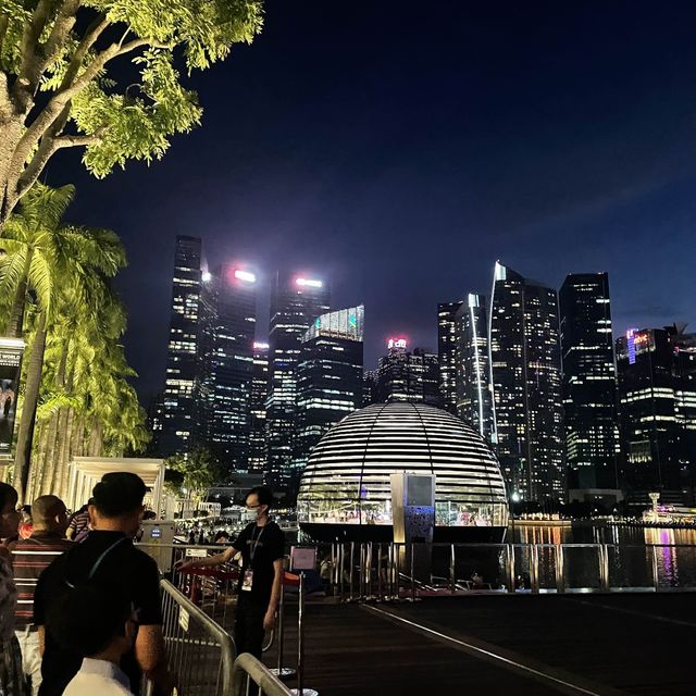 Singapore skylines 