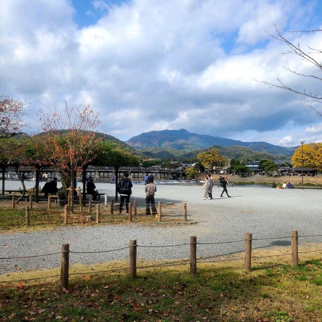 自然がダイレクトに感じられる公園【嵐山公園】✨