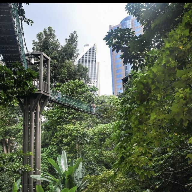 Eco Rimba in the middle of the City 🌴🌳🍃