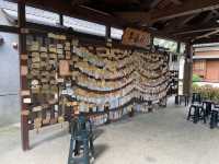 桃園藝文町-散步及用餐的好去處
