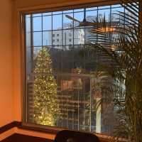 독특한 건물 구조가 크리스마스 트리를 더 특별하게 보이게 하는 곳 🎄