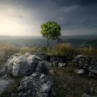 STONE GARDEN, WEST JAVA