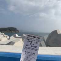 🌊🌺 여수 오동도에서 동백꽃+바다 가득가득 감상하기 🌺🌊