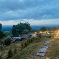ภูเขาหมอกเขาศูนย์แคมป์ รับลมหนาว ชมทะเลหมอก