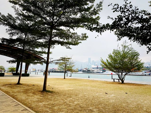 讓身心在鬧市中完全停下來