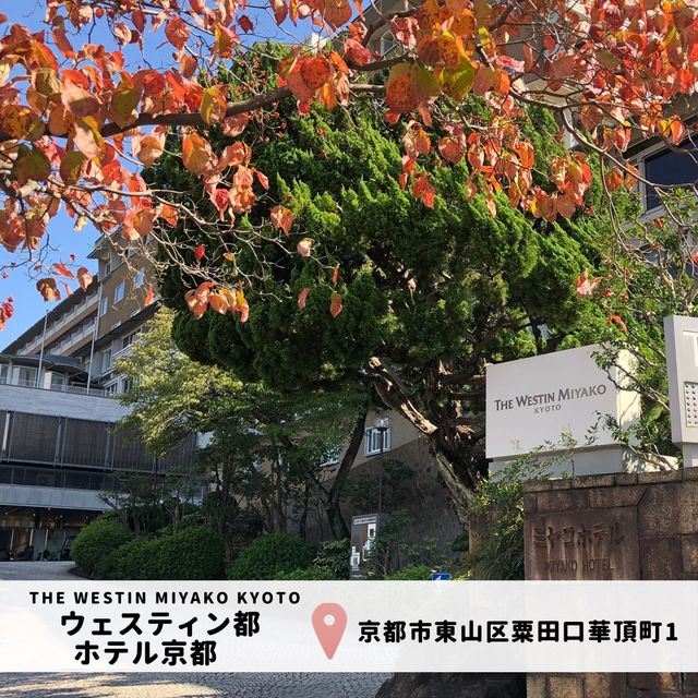 【ウェスティン都ホテル京都】部屋：ジュニアスイート平安京ビュー