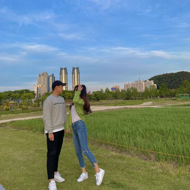 요즘같은 날씨, 딱 피크닉 하기 좋은 태화강 국가정웡