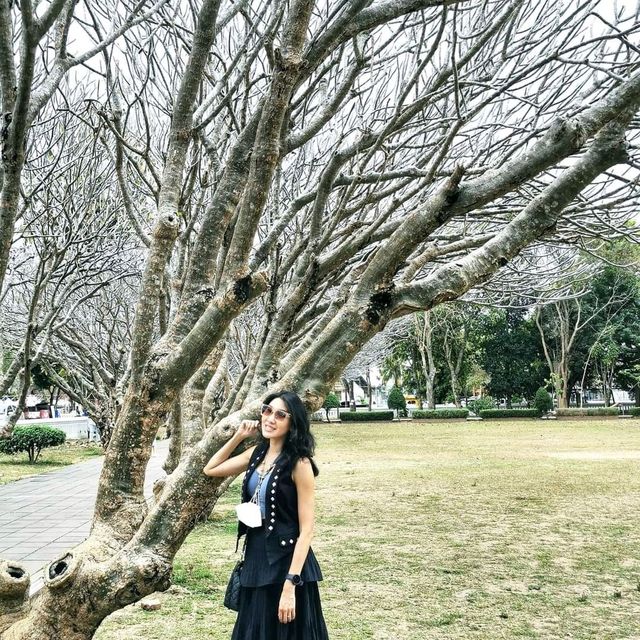 แชะภาพสวยๆกลางซุ้มอุโมงค์ต้นลีลาวดี 🍃🍂