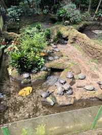 Part 4 - Bandung Zoological Garden