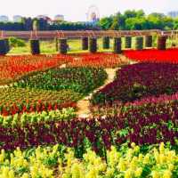 Flower Valley Tay Ho