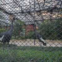 香港動植物公園