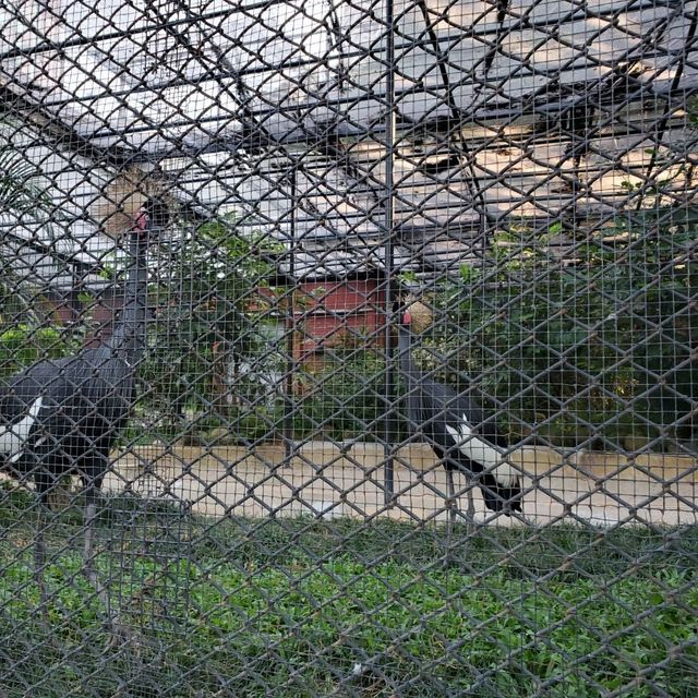 香港動植物公園