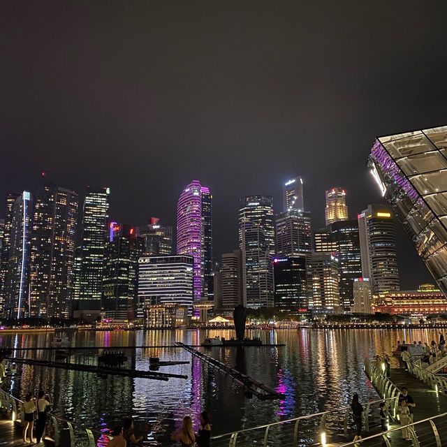 ✨Wonder Full-Light & Water Marina Bay Sands🍾