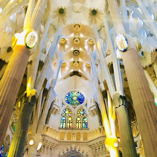 【バルセロナ】スペイン随一の絶景スポット‼︎ステンドグラスが凄すぎた🥺