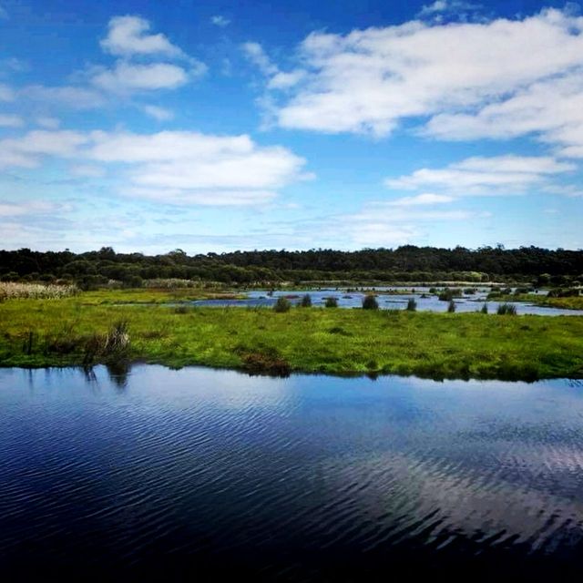 The Outback of Perth, Australia