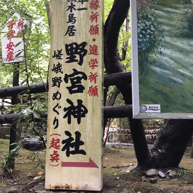 嵐山竹林間的神社