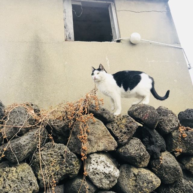 겨울 제주도 여행(사실상 먹으러 간..) 