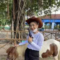 วันว่างๆสนุกที่สวนสยามทะเลกรุงเทพพพ