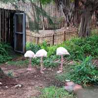 親子遊【新竹市區】新竹市立動物園