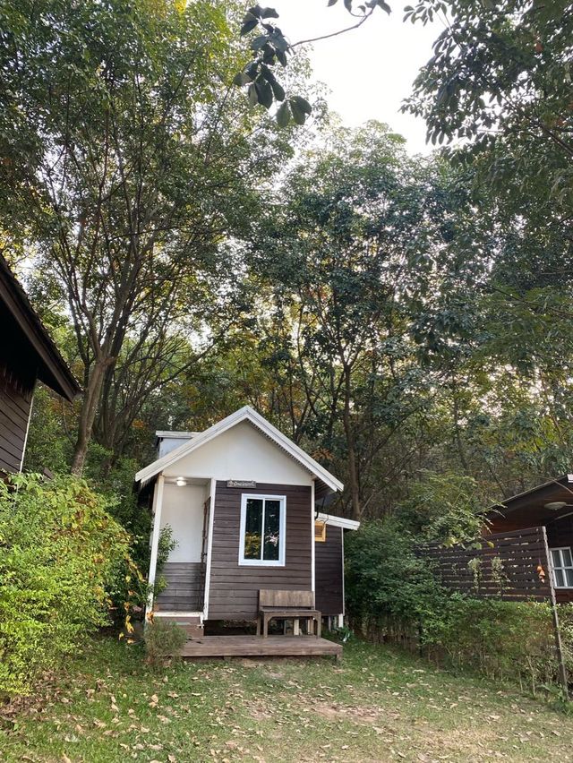 ภูผาหมอก@byขุนแวะ 🏕️🏕️ 