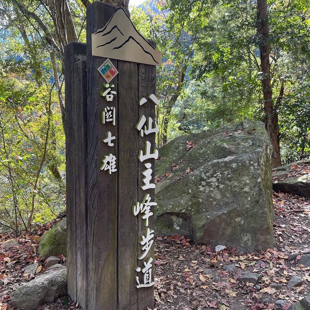 台中八仙山森林國家公園