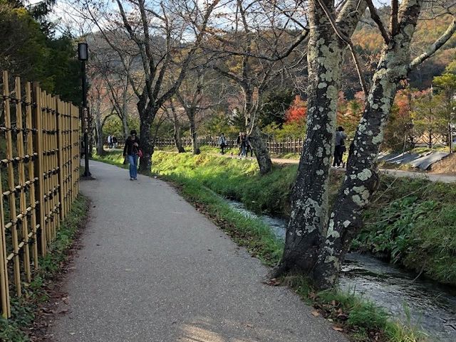 【山梨・世界文化遺産】忍野八海