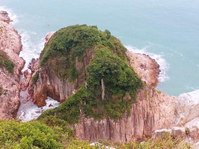 往吊鐘洲觀斷岩奇觀「金魚擺尾」