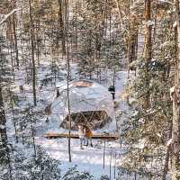 Shady grove campground