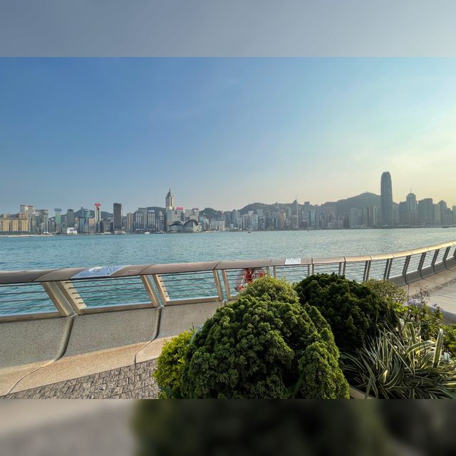 久違了的望海之點～星光大道