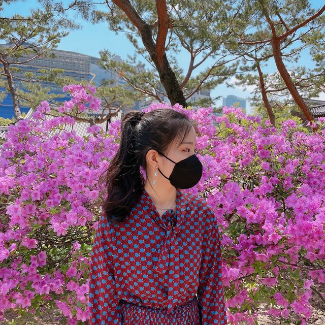 봄캉스 즐기기😍 창덕궁 근처 호캉스 추천 #봄 #호캉스
