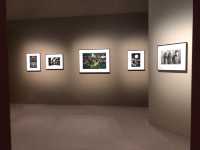 【東京】シャネル『Soul ジェーン エヴリン アトウッド展』